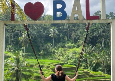 Bali en amoureux, vue rizières
