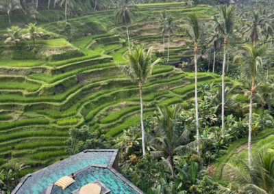 Café lounge avec vue sur les rizières en terrasses de Bali