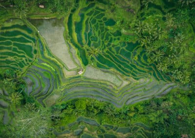 Bali : guide complet 2026 – Que faire et que voir ?