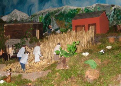 Segando el trigo en 2005.