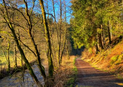Wanderweg zur Perlbachtalsperre