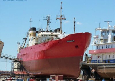 Puerto Mar del Plata recupera frente de amarre con la salida del pesquero “Harengus”