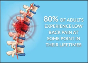 lower back pain statistics 