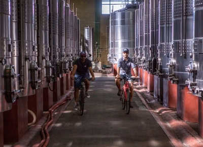 There is more than oeway to visit Patagonia wineries - take it easy on the tasting beforehand!