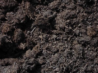 Mushroom Compost / m³