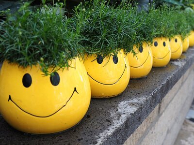 Blume Smiley - natürlich