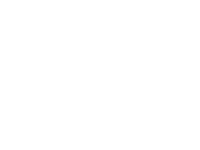 made in 95