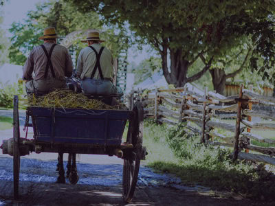 amish alt="Carruaje Amish tirado por un caballo en un camino rural de Pensilvania, durante la excursión desde NYC."