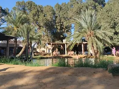 Circuit 3 jours Sud Tunisien au départ de Djerba - Oasis et Désert