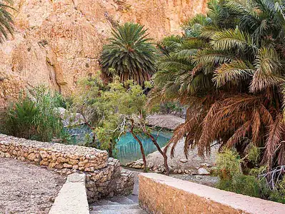 4x4 excursion mountain oases Tunisia Chebika.