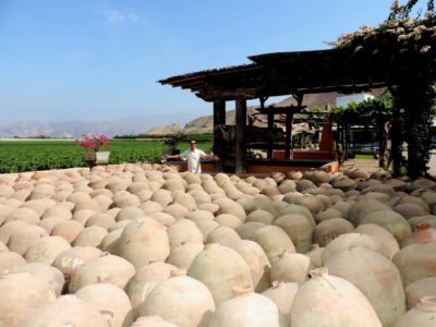 Wine & Pisco adventure in the land of the Incas, Peru