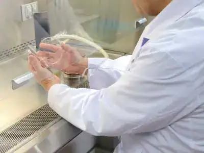 研究の様子