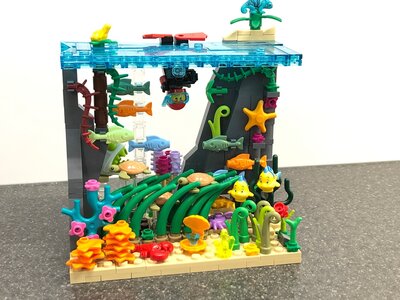 018 Unterwasserwelt 1