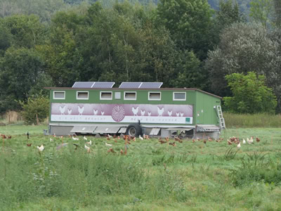 Ein Hühnerhaus in einer Wiese.