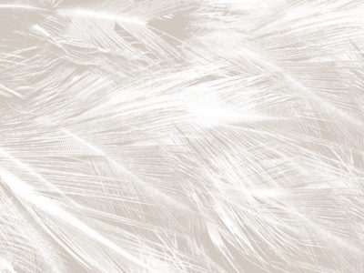 PLUMAS