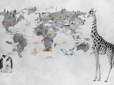 Mapa Ilustraciones Hormigón