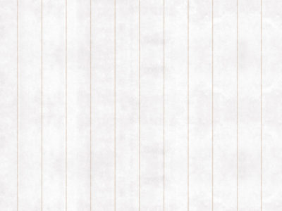 Trazos Lineas