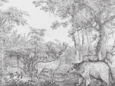 Animales Bosque Aguafuerte