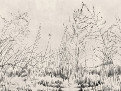 Ramas Tinta