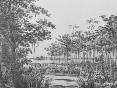 Amazonas