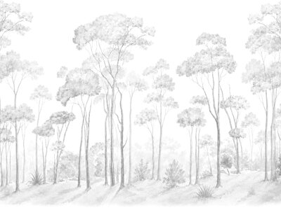 FORESTA - Imagen 3