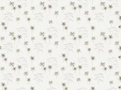 OASIS - Imagen 3