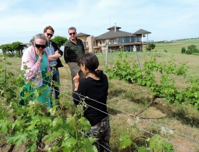 Some expert guidance on viticulture from the owner at Chateau Nuzun