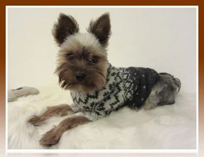 chompa tejida para esnauser