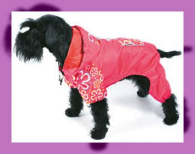 impermeables para perros medianos