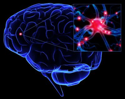 Нейронная сеть