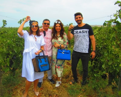 Clients enjoying sampling the grapes in the vineyard