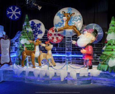 2024 Gaylord Texan Ice Promo Code