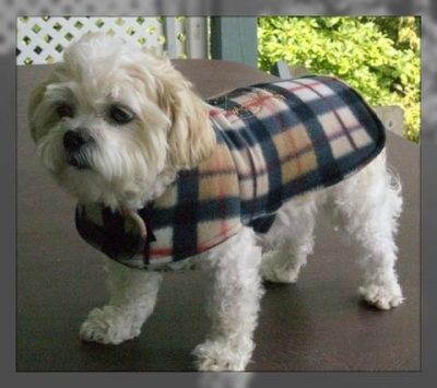 moldes de ropa para perros pequeños