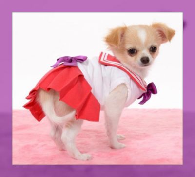 vestidos para perritas moldes