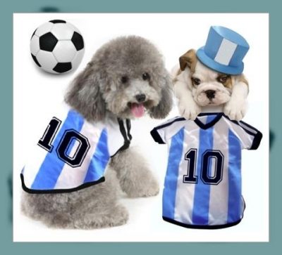 camisetas para perros personalizadas