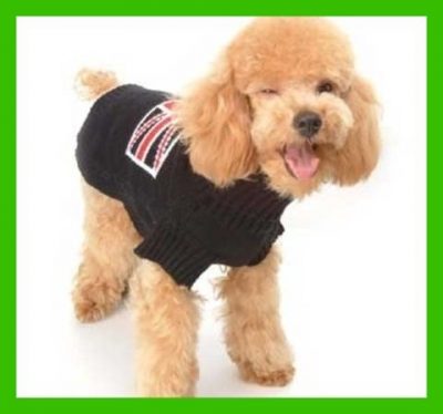sudaderas para perros pequeños
