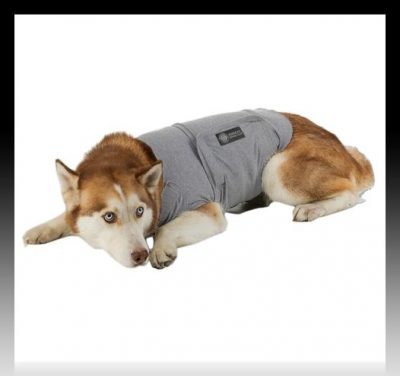 moldes de poleras para perros