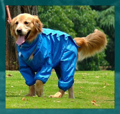impermeable para perro patrones