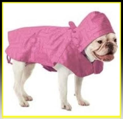 capas para perros pequeños