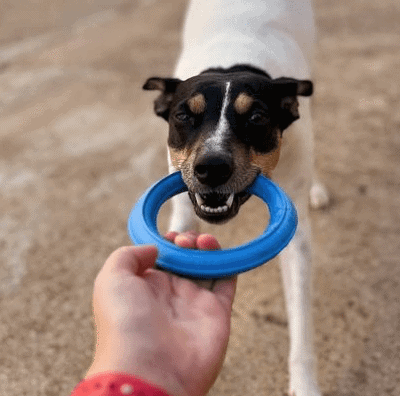 Rucan Sky Rings Mediano