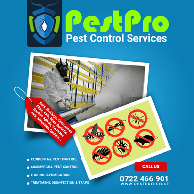 Pest Control Services: Nairobi Pest-Free › 0759949260