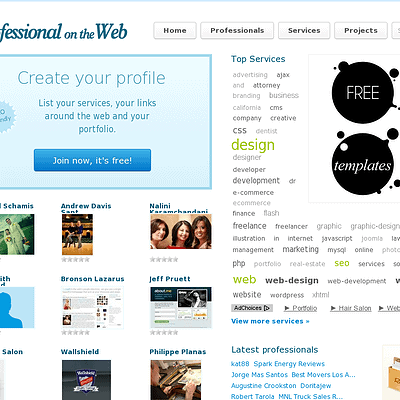 Professional On The Web