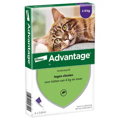 Advantage 80 Kat ( > 4 kg ) 4 x 0,8 ml pipetten