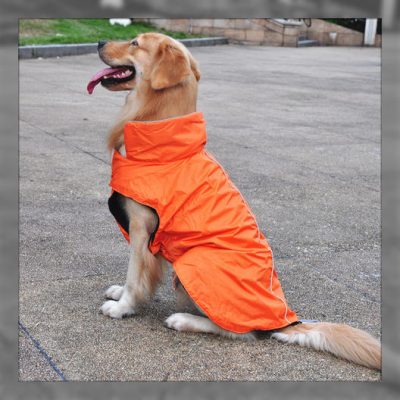 ropa para perros grandes moldes