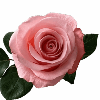 Be Sweet