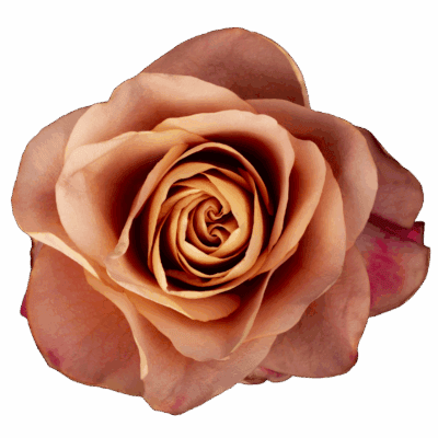 Symbol