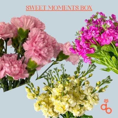 Sweet Moments Box