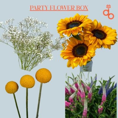 The Party Flower Box