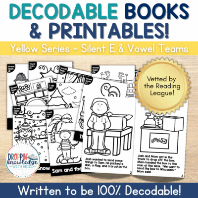 Decodable Adventures Series - 100% Decodable Books & Activities UNIT 3 Vowel Teams