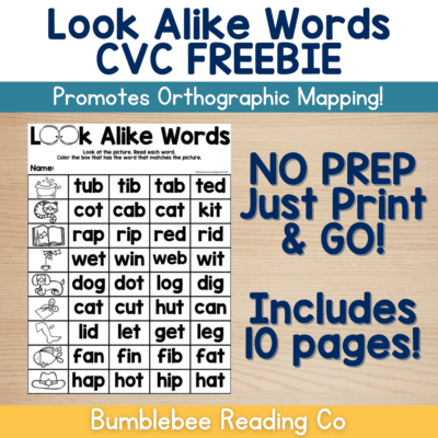 Look Alike Words - CVC Words